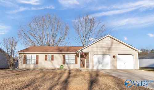 316 Buffalo Creek Dr, Toney, AL, 35773-8926 | Card Image