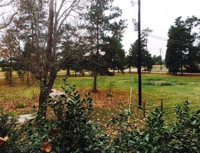 Pasture available for 1-2 horses with additional fee. | Image 4