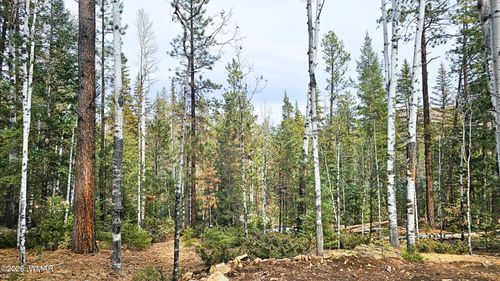2 County Road 1007, Greer, AZ, 85927 | Card Image