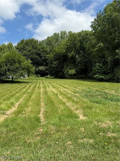 VL Madison Avenue, Painesville Twp, OH, 44077 | Card Image
