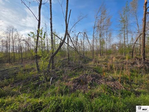 0 Carey Smith Rd, Mangham, LA, 71259 | Card Image