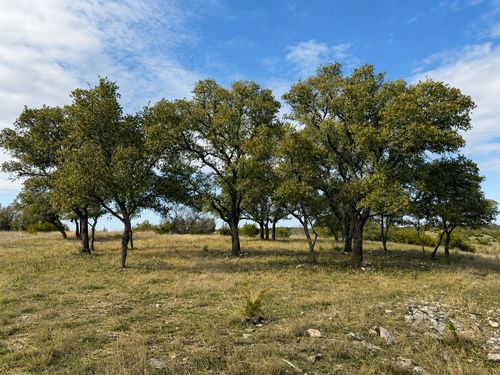 1146 Hidden Cove Trail, Glen Rose, TX, 76043 | Card Image