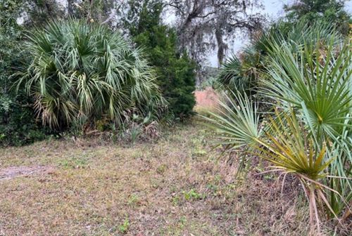 211 Village Dr, WELAKA, FL, 32193-2219 | Card Image