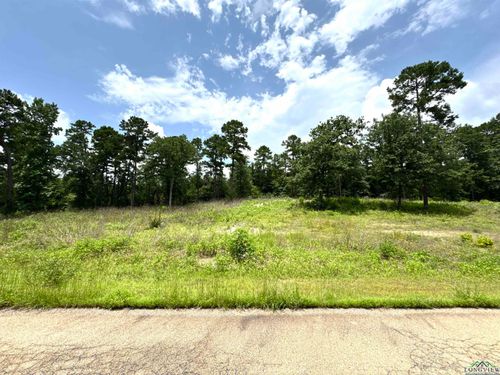 LOT 9 Cr 3545, Hawkins, TX, 75765 | Card Image