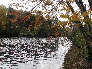Residential in Bracebridge