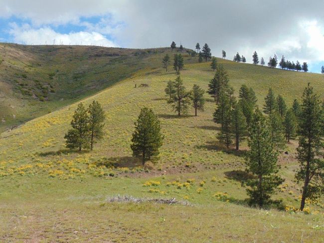 27235 Lazy Springs Rd, Home with 0 bedrooms, 0 bathrooms and null parking in Clinton MT | Image 86