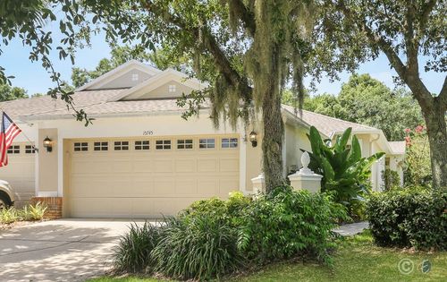 15745 Phoebepark Ave, LITHIA, FL, 33547-1791 | Card Image