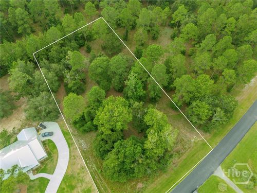 70 Coopers Point Dr Ne, Townsend, GA, 31331 | Card Image