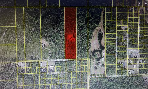 TBD Ne 158th Street, Fort Mc Coy, FL, 32134 | Card Image
