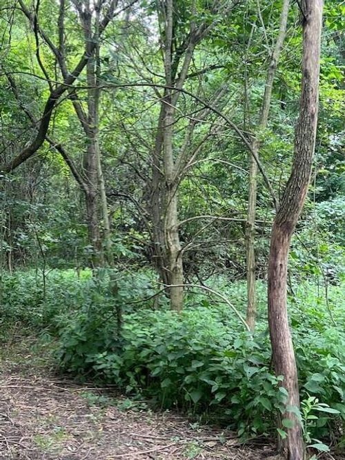 0 Ball Rd, Centerburg, OH, 43011 | Card Image