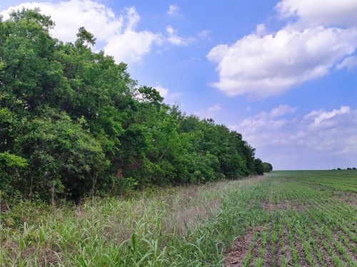 TBD Fm 3061, Thorndale, TX, 76577 | Card Image