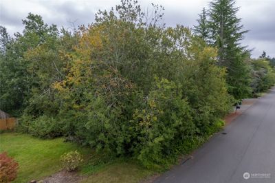 715 1st Street, Home with 0 bedrooms, 0 bathrooms and null parking in Steilacoom WA | Image 3