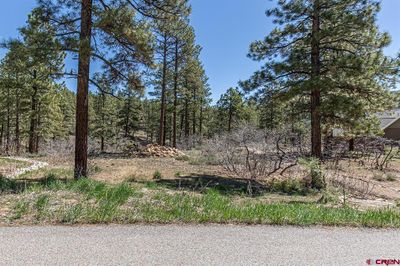 97 Canyon Pines, Home with 0 bedrooms, 0 bathrooms and null parking in Durango CO | Image 1