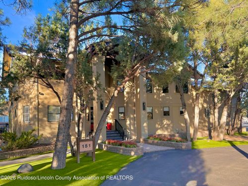 151 Buena Vista Dr, Alto, NM, 88312-8009 | Card Image