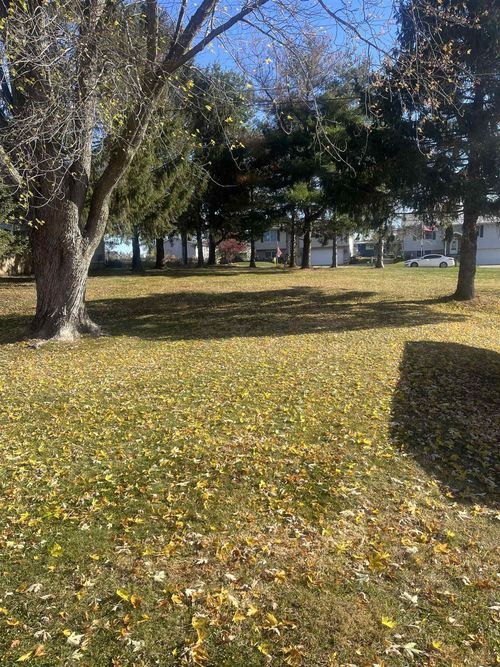 TBD Conrad Ave, EAST DUBUQUE, IL, 61025 | Card Image