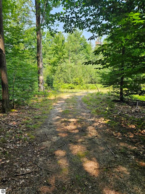 11268 Watson Rd, Williamsburg, MI, 49690-8606 | Card Image