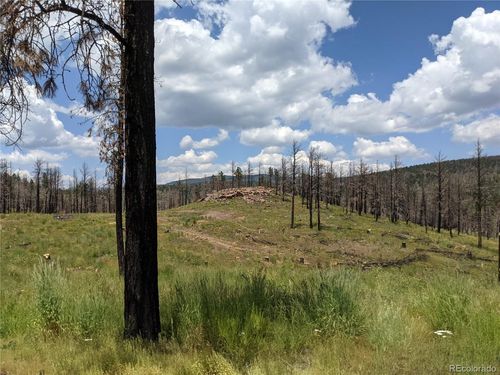 549 Drevs Pl, Fort Garland, CO, 81133 | Card Image