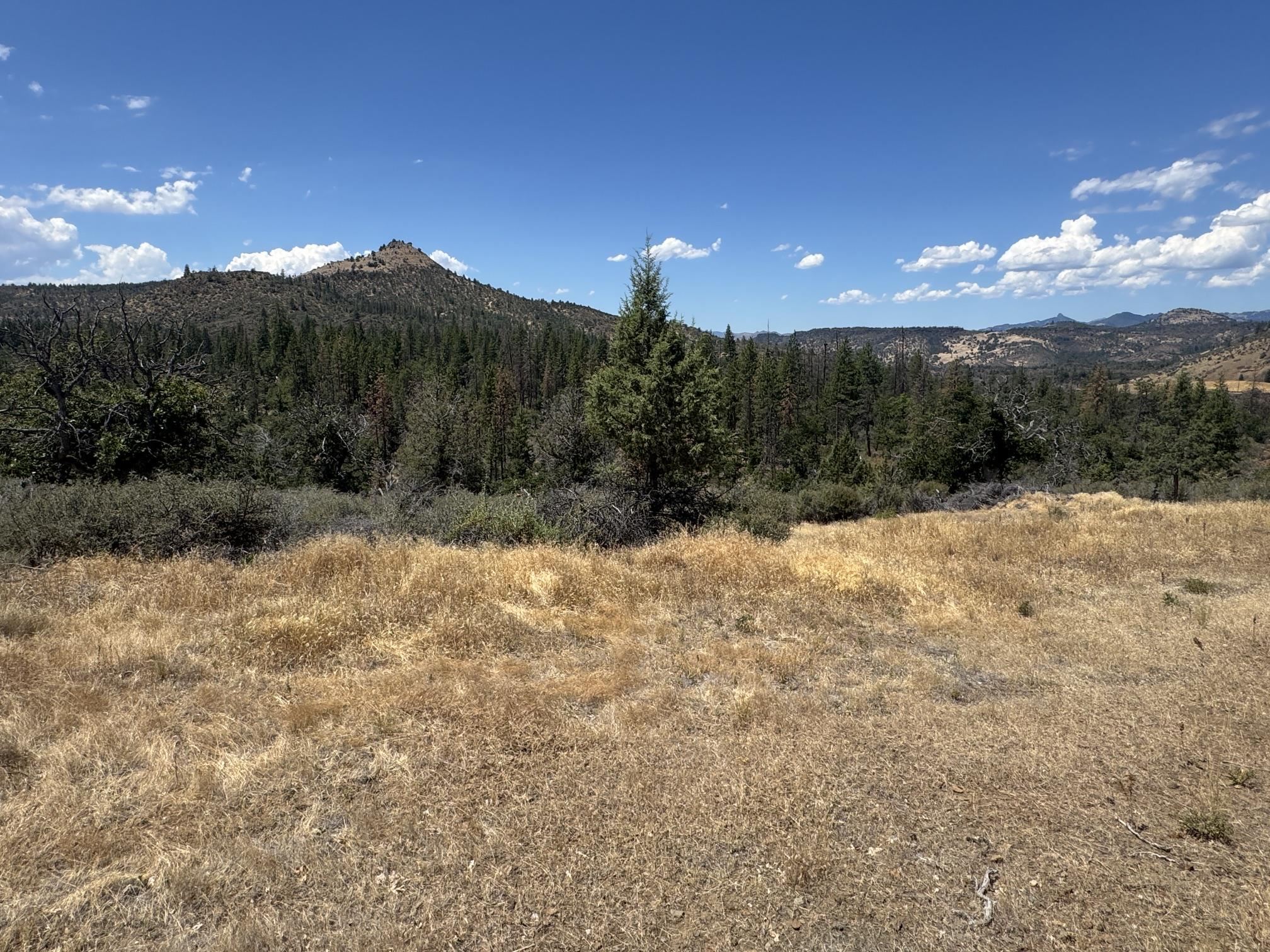 Land in Montague