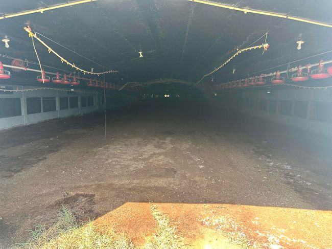 View of yard | Image 13
