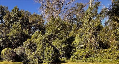 7152 Kenyon Dr, Webster, FL, 33597 | Card Image