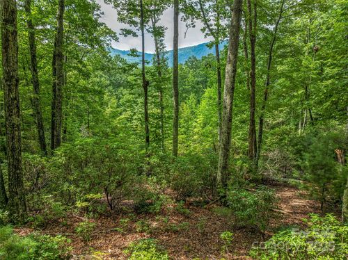 196-72 Smokey Ridge Trl, Arden, NC, 28704-9123 | Card Image