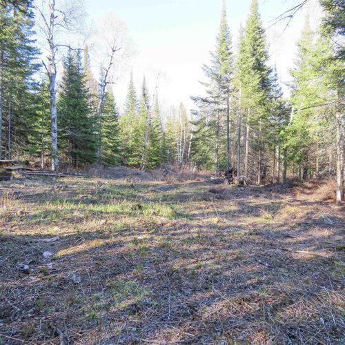 435 Cramer Rd, Schroeder, MN, 55614 | Card Image