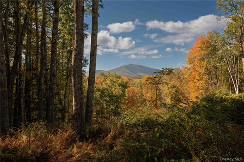 363 Beaverkill Rd, Olivebridge, NY, 12461-5700 | Card Image