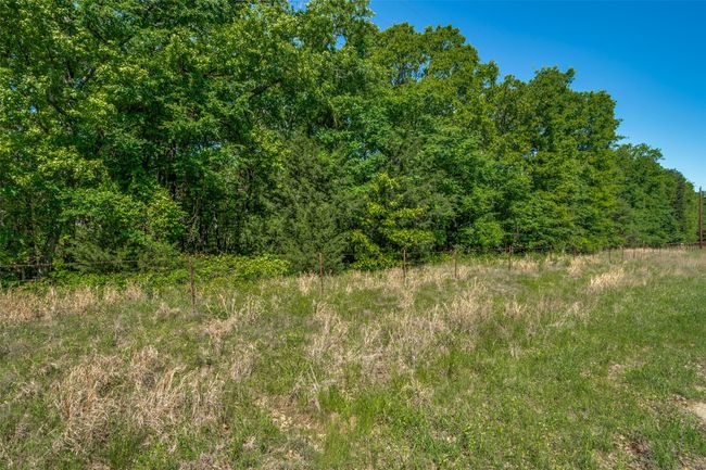 911 Rs County Road 1399, Home with 0 bedrooms, 0 bathrooms and null parking in Point TX | Image 8