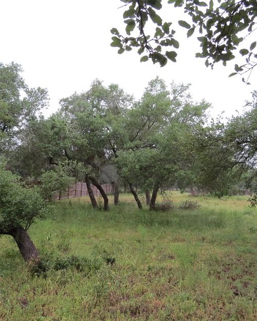 12 Pecos Dr, Wimberley, TX, 78676-3418 | Card Image