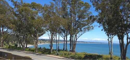 unit-206-815 Balboa Ave, Capitola, CA, 95010-2341 | Card Image