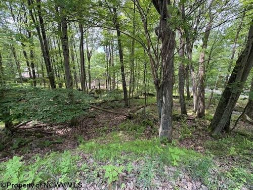 Lot 34 E Alpine Dr, Terra Alta, WV, 26764 | Card Image