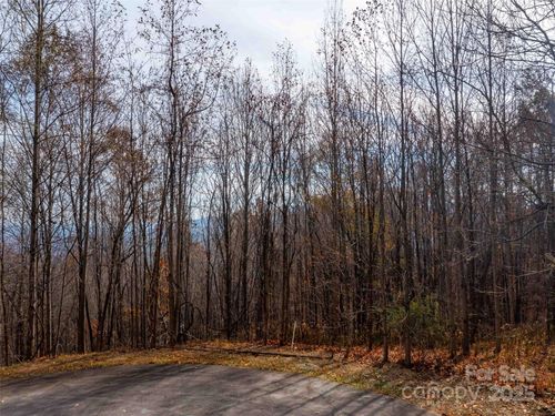 242 Nottingham Dr, Mill Spring, NC, 28756 | Card Image