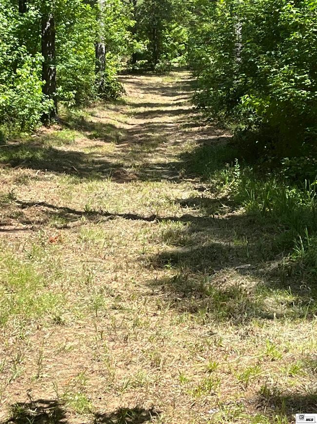 000 Highway 146, Home with 0 bedrooms, 0 bathrooms and null parking in Ruston LA | Image 21