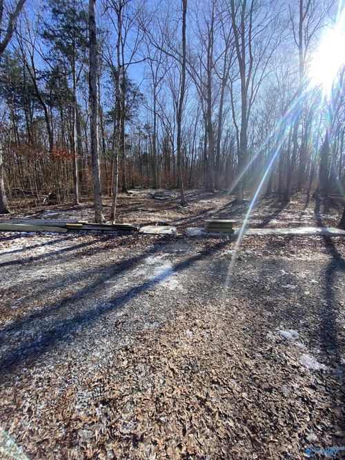 4585 Cathedral Caverns Rd, Woodville, AL, 35776-8565 | Card Image