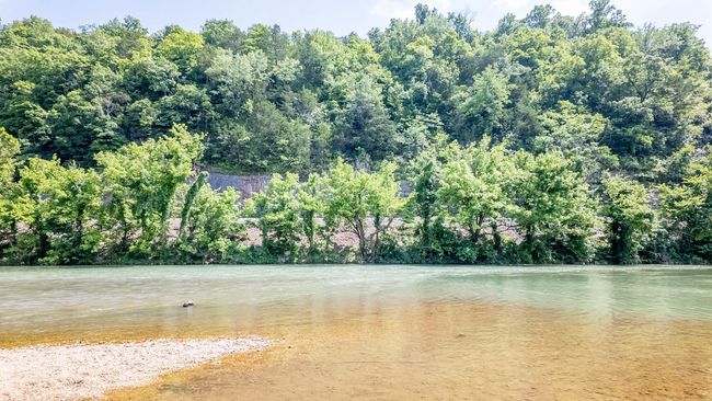 River house028 | Image 43