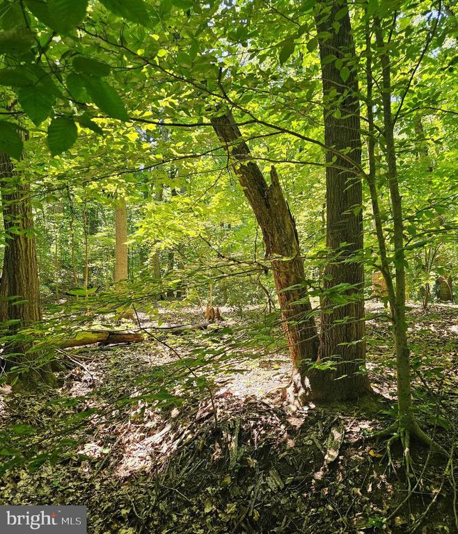 Land in CROWNSVILLE