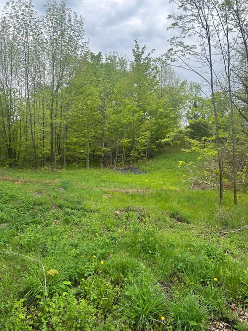 0 Bradshaw Rd, South Frontenac, ON, K0H2V0 | Card Image