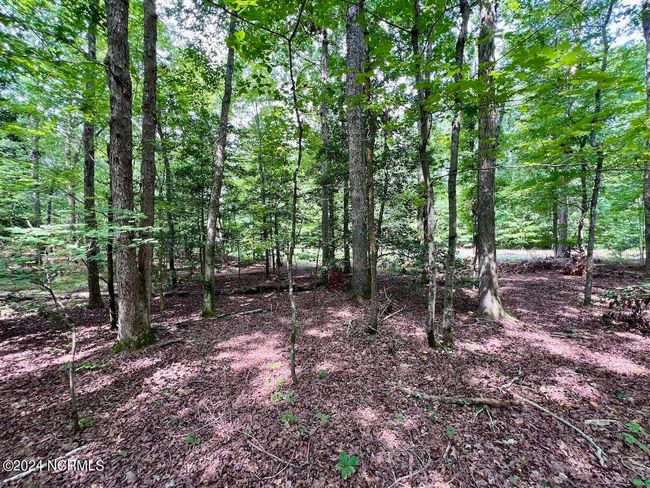 27 Gordon Ln, Home with 0 bedrooms, 0 bathrooms and null parking in Macon NC | Image 18