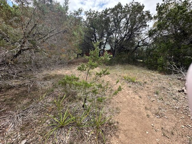 Back of lot | Image 7