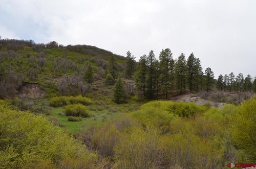 87 Hopkins Creek Trl, Durango, CO, 81301 | Card Image