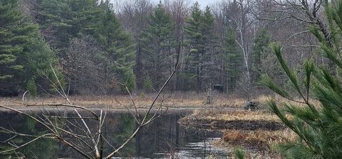 0 Elker Road, Alma, WI, 54746 | Card Image