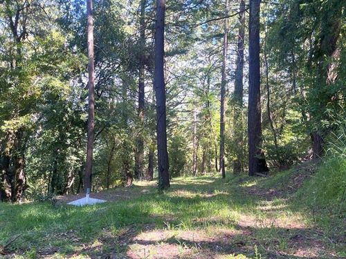 19179 Skyline Blvd, Los Gatos, CA, 95033-9588 | Card Image