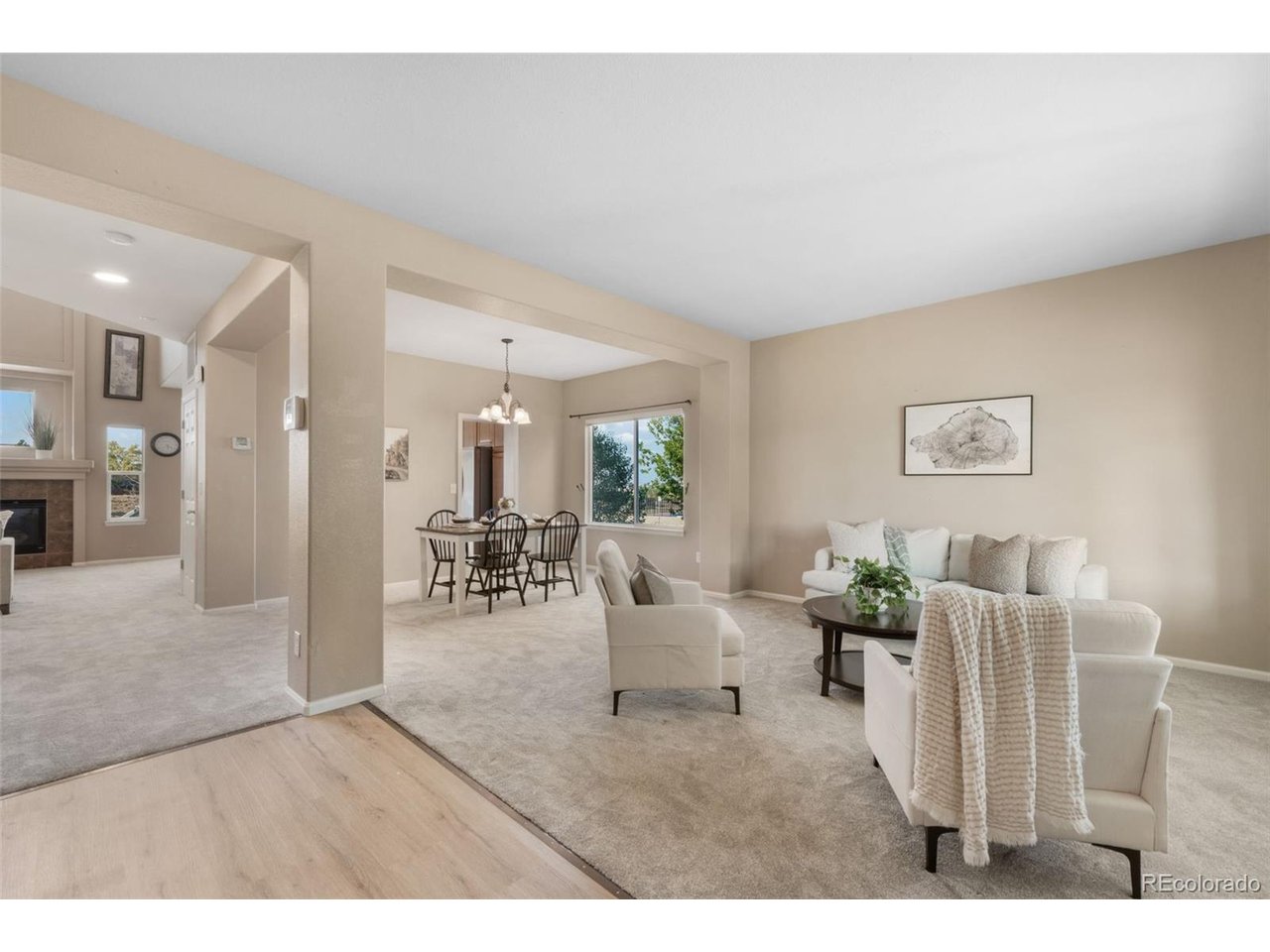 Residential in Castle Rock 3
