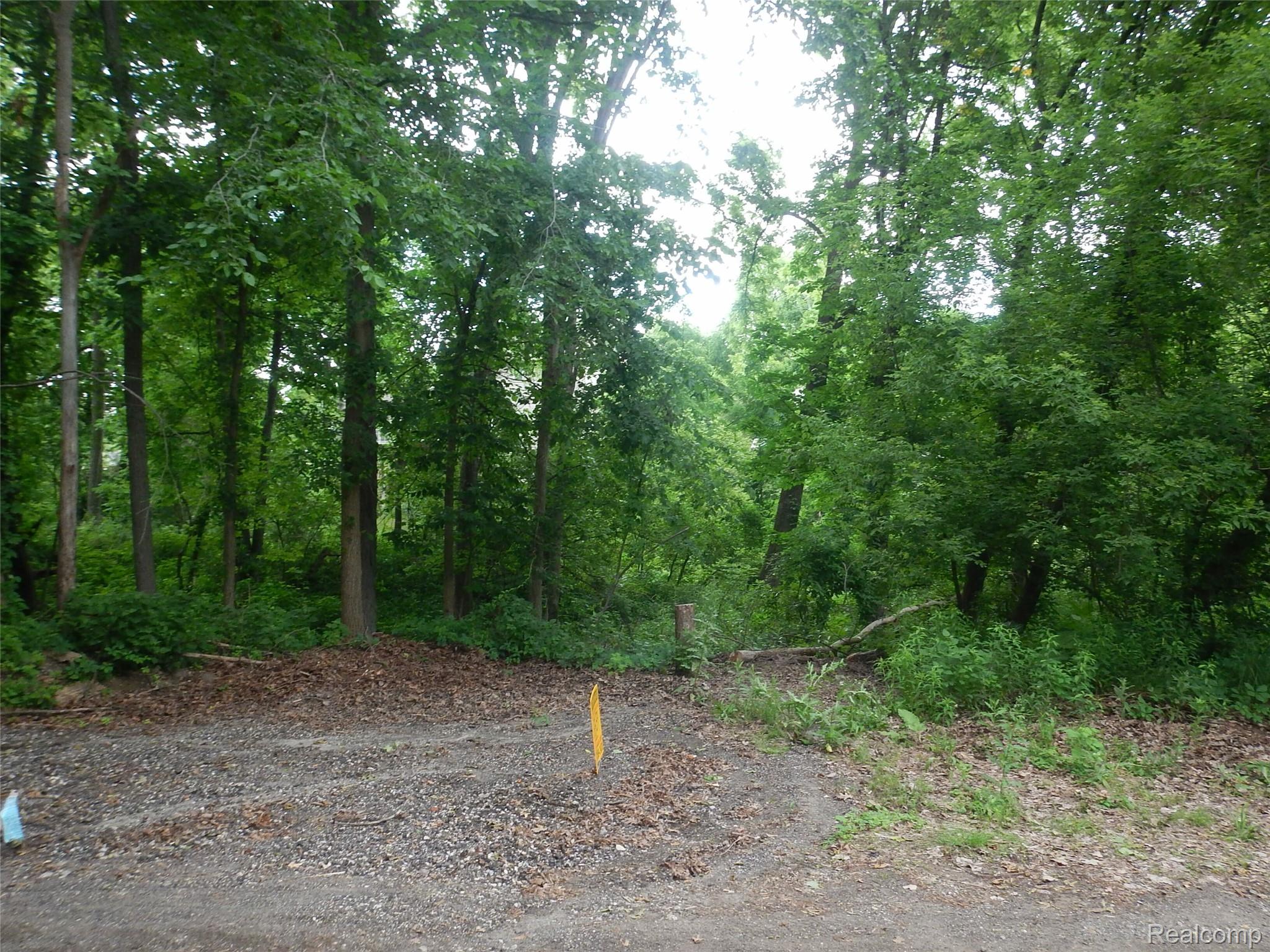 Land in Lake Orion Village