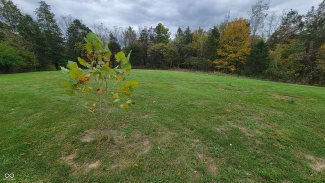10081 Sullivan Rd, Home with 0 bedrooms, 0 bathrooms and null parking in Vevay IN | Image 37