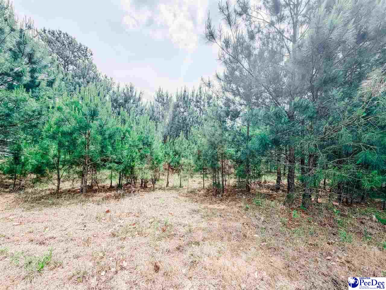 Land in Latta