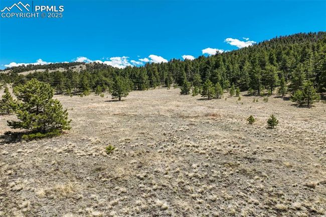 128 Nancy Ann Arroyo, Home with 0 bedrooms, 0 bathrooms and null parking in Guffey CO | Image 8