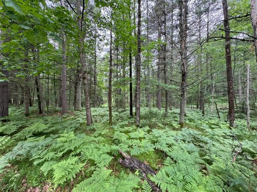 Lot #90 Trailwood Dr, Minocqua, WI, 54548 | Card Image