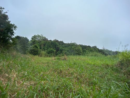 94-6487 Kekuhaupio Rd, NAALEHU, HI, 96772 | Card Image