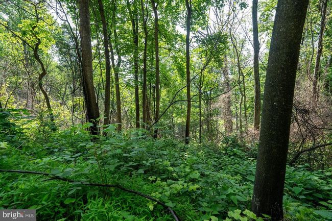 0 Hidden Rd, Home with 0 bedrooms, 0 bathrooms and null parking in LURAY VA | Image 29